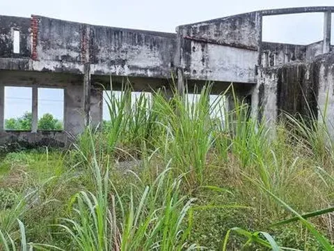 Nhà máy xi-măng 5.000 tỉ đồng bỏ hoang thành bãi chăn trâu, bò