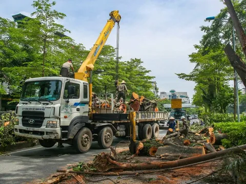 Cây đa trăm tuổi cổ nhất Thủ đô bất ngờ gãy cành, giao thông ùn tắc nghiêm trọng