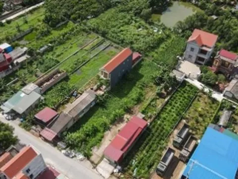 Tp.HCM kiến nghị liên quan đến mua bán đất nông nghiệp bằng giấy tay