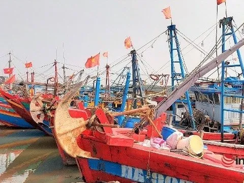 Nghệ An: Giá dầu cao kỷ lục, đánh bắt thua lỗ, hàng trăm tàu nợ quá hạn