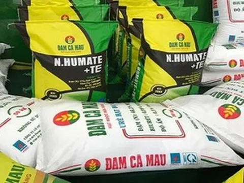 Đạm Cà Mau chốt quyền trả cổ tức tiền mặt tỷ lệ 18%