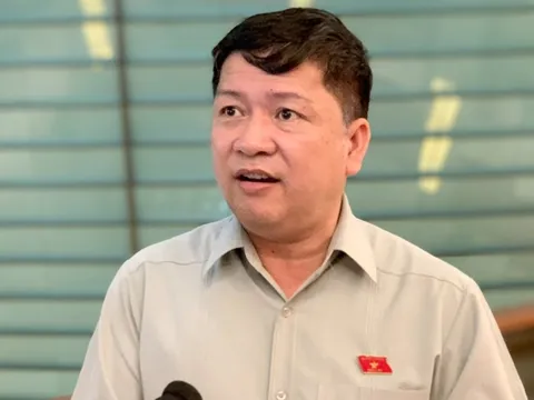 “Năng lực cán bộ quản lý thế nào mà lại sợ sai, không dám làm!”