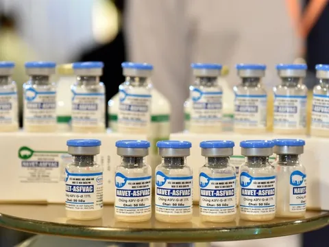 Chính thức công bố lưu hành vaccine thương mại dịch tả lợn Châu Phi