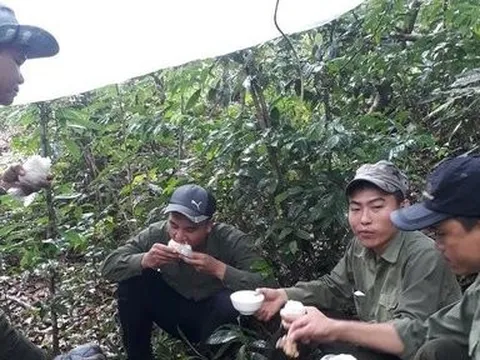 Nhiều cán bộ kiểm lâm ở Đắk Lắk xin nghỉ việc, từ chức, xuống chức