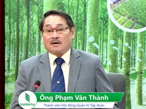 Họp ĐHĐCĐ Tập đoàn cao su: Kế hoạch lợi nhuận 2022 chưa tính đền bù đất