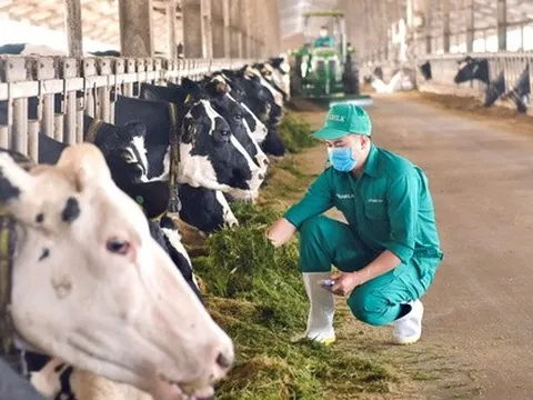 Vinamilk chia sẻ về mô hình phát triển bền vững của ngành sữa Việt Nam