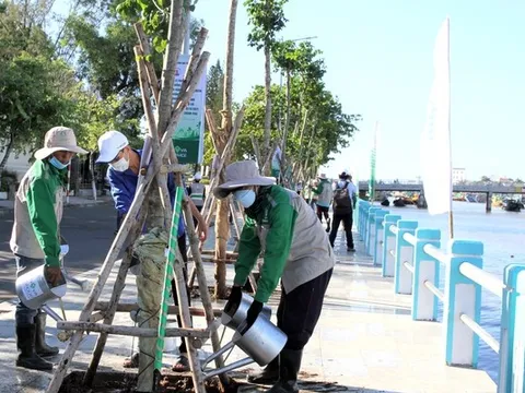 Bình Thuận đẩy mạnh trồng cây xanh: Dân đồng tình, doanh nghiệp đồng lòng