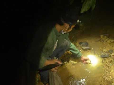 Lên núi săn cua đá