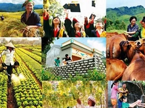 Hỗ trợ đa dạng hóa sinh kế, phát triển mô hình giảm nghèo