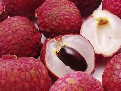 Loại quả là niềm tự hào của VN, là vị thuốc từ ngàn xưa: Hạt rất quý nhưng toàn bị bỏ đi