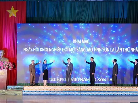 Khởi nghiệp đổi mới sáng tạo: Bứt phá giữa đại ngàn