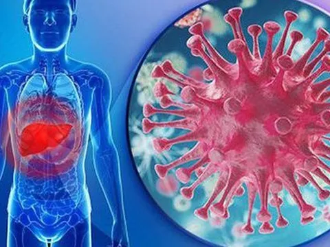 5 lầm tưởng của bạn có thể gây hại cho gan