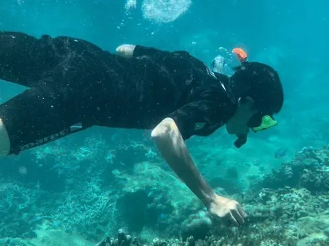 Khánh Hòa tạm dừng du lịch lặn biển để cứu san hô ở Hòn Mun