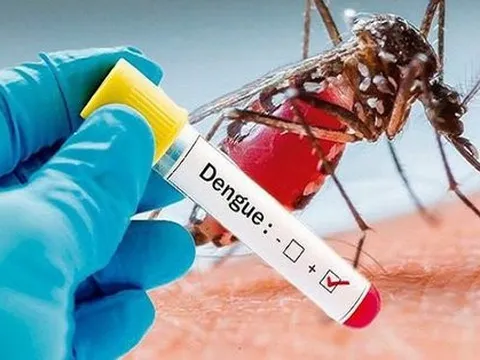 Hứa hẹn phát triển vaccine ngừa sốt xuất huyết từ nước bọt của muỗi