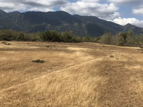 Công an yêu cầu tạm dừng giao dịch tài sản của 1 phó chủ tịch huyện ở Ninh Thuận