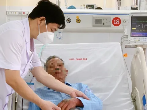 Suy đa tạng vì 1 vết cắn từ loài vật hoạt động mạnh vào mùa hè: Người dân biết mà không sợ