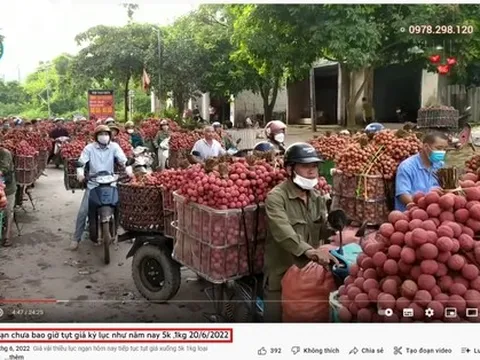 Bắc Giang lên tiếng về thông tin vải thiều giá 5 nghìn đồng/kg