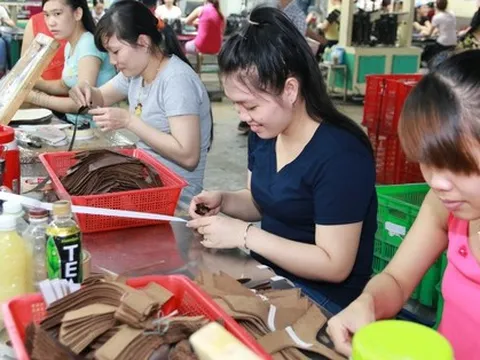 Ồ ạt rút BHXH một lần: Giảm tuổi hưu, tăng mức hưởng