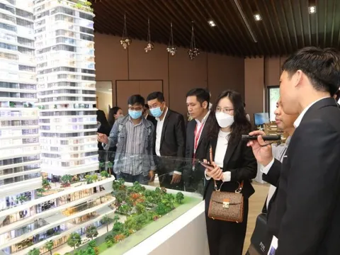 Nghịch lý của TTCK Việt Nam: doanh nghiệp hoạt động tốt nhưng giá cổ phiếu vẫn giảm