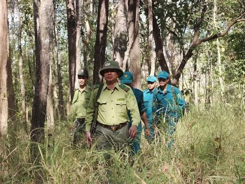 Sau 30 năm, hơn 115.000ha rừng đặc dụng vẫn được bảo vệ nguyên vẹn