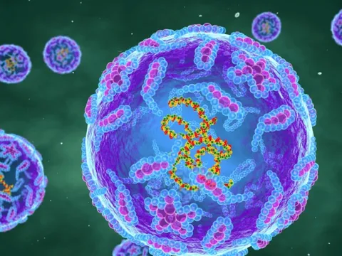 Loại virus bị xoá sổ gần 40 năm trước tại Anh bất ngờ "tái xuất": Dấu hiệu bệnh là gì?