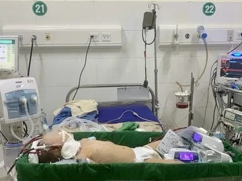 Bé trai 3 tuổi sốc phản vệ, suy tuần hoàn sau tiêm kháng sinh