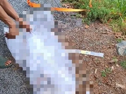 Phát hiện thi thể bé trai sơ sinh dưới kênh ở Bình Dương