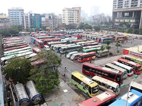 Doanh nghiệp vận tải như 'cá bơi trên cạn' do giá xăng dầu tăng cao