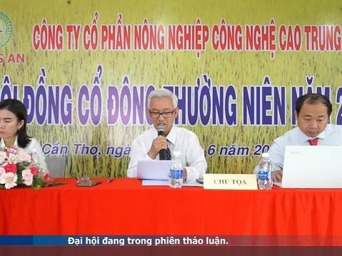Họp ĐHĐCĐ Gạo Trung An: Dừng bán đất ở Cần Thơ, lên phương án chào bán gần 80 triệu cp