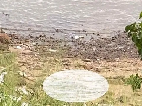 Phát hiện thi thể nam giới trôi dạt vào bờ biển ở Vũng Tàu