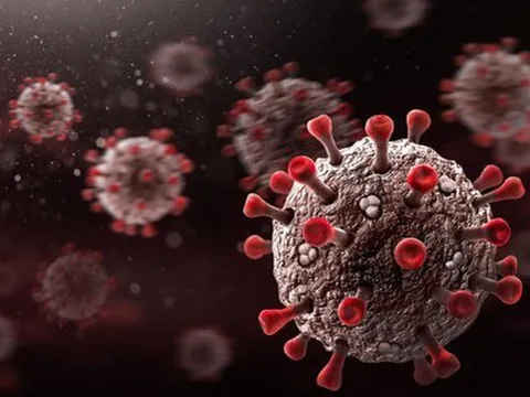 Nghiên cứu mới từ Mỹ: Cách BA.5 "xuyên thủng" miễn dịch từ vắc-xin và "cựu F0"