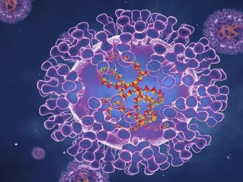 Báo động: Virus đậu mùa khỉ tiến hóa 'thần tốc' nhanh gấp 12 lần thông thường