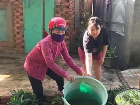 NÓNG: Virus gây sốt xuất huyết ở Bình Phước là chủng có độc lực mạnh