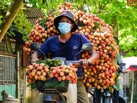 Nông nghiệp quyết cán mốc 55 tỷ USD trong năm 2022