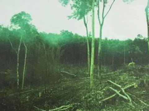 Khởi tố nguyên bí thư xã hủy hoại tài sản của người dân