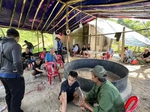 Phá chuyên án, bắt 19 đối tượng đánh bạc dưới hình thức đá gà ăn tiền