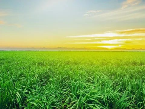 SBT - Toàn diện chuỗi cung ứng trên nền tảng phát triển bền vững