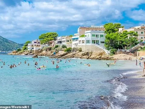 Bộ VH,TT&DL đang xác minh vụ 2 nghệ sĩ "bị bắt" ở Tây Ban Nha