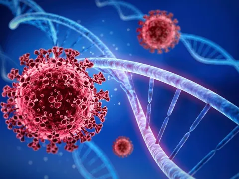 Hà Nội xuất hiện 3 ca mắc COVID-19 biến chủng Omicron BA.5