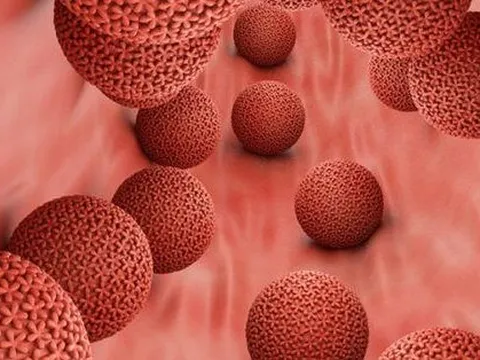 Phát hiện quan trọng trong điều trị bệnh tình dục HPV