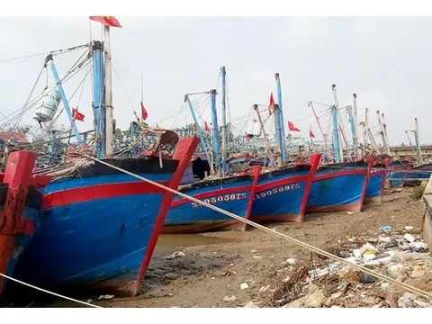 Kiến nghị hỗ trợ ngư dân bị ảnh hưởng bởi giá xăng, dầu tăng cao