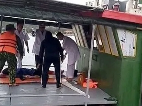 Hải Phòng: Một ngư dân bị cá mập tấn công gần đảo Bạch Long Vỹ