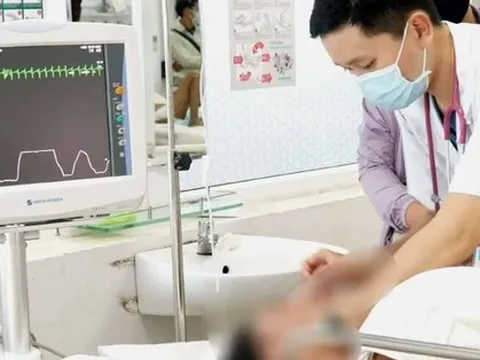 Nhiều người nhập viện sau khi ăn nhộng ve sầu