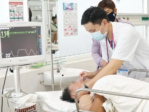 Rủ nhau ăn "đặc sản" nhộng ve sầu, cả nhóm ngộ độc