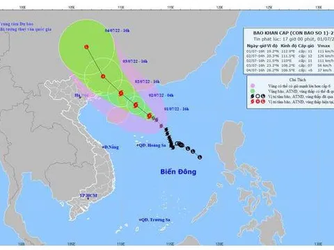 Công điện của Thủ tướng Chính phủ yêu cầu tập trung ứng phó bão số 1 và mưa lũ