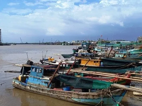 Bạc Liêu: Ngư dân quyết tâm vươn khơi bám biển