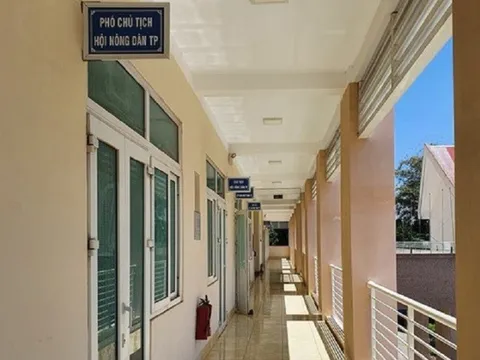 Cách chức một Phó Chủ tịch hội nông dân tại Đắk Lắk