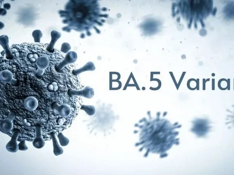 Omicron BA.5 đã xâm nhập Việt Nam: Đối tượng nào dễ trở nặng nếu mắc?