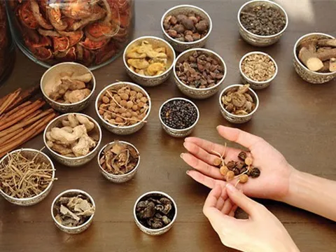 Nhóm doanh nghiệp đông dược: Nhiều công ty lãi top đầu ngành với cả trăm tỷ mỗi năm, tỷ suất lợi nhuận gộp cao từ 30% - 70%