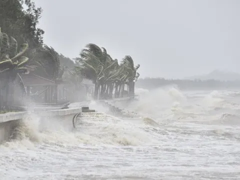 Tin Bão số 1 (CHABA) và các chỉ đạo ứng phó